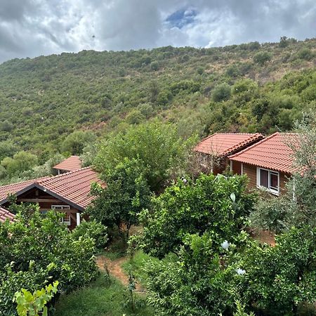 The Mussel House Villa Ksamil Dış mekan fotoğraf