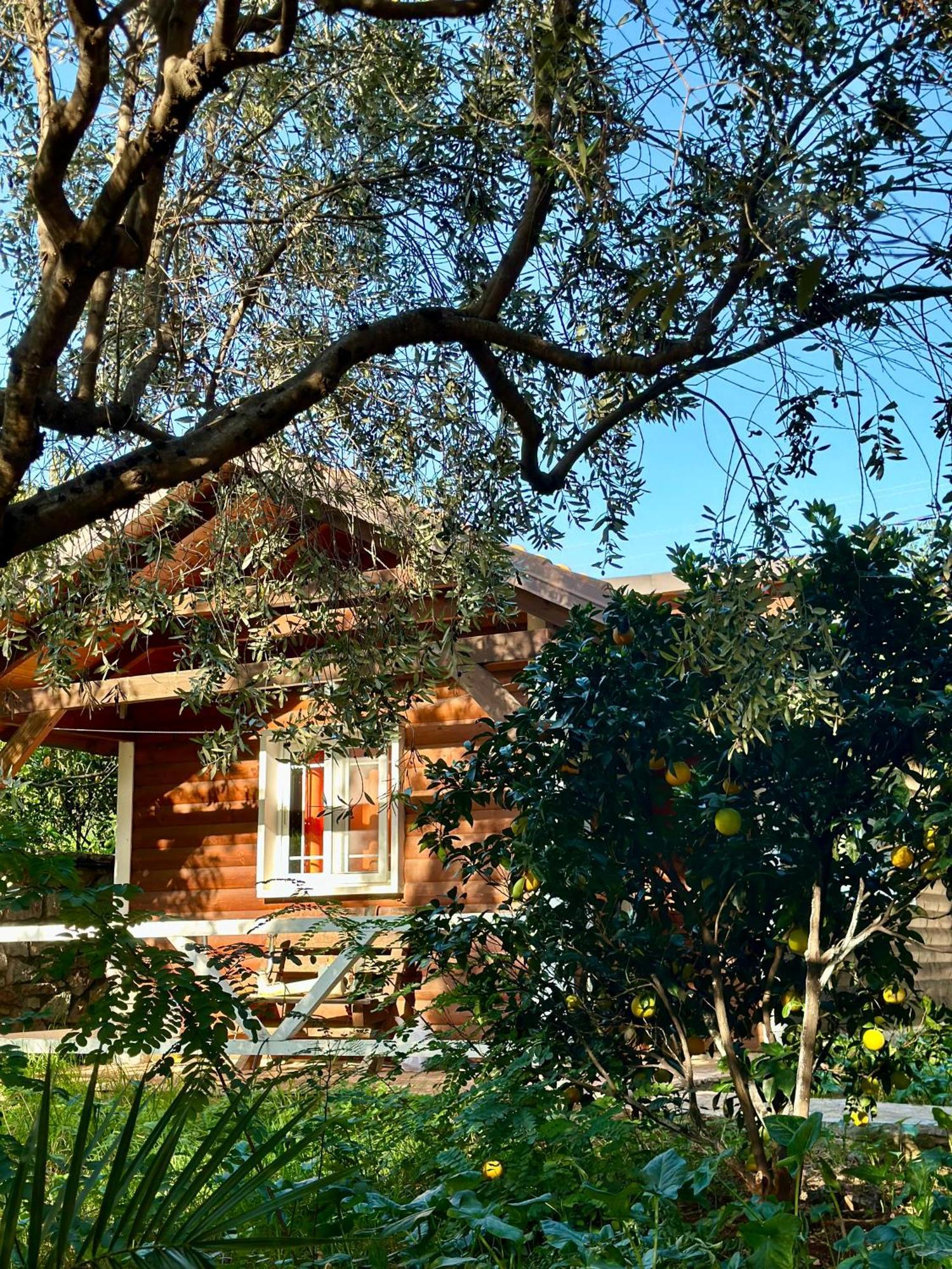 The Mussel House Villa Ksamil Dış mekan fotoğraf