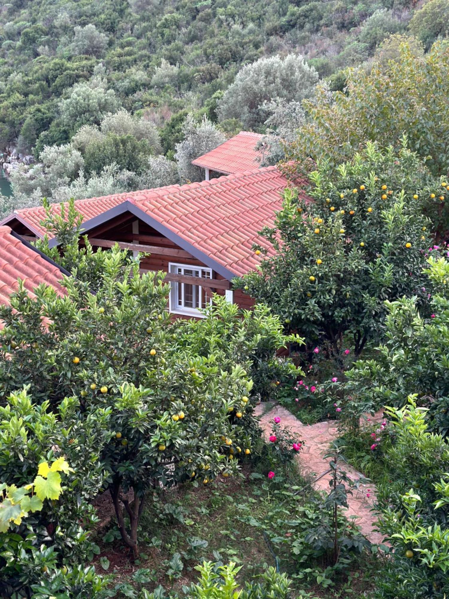 The Mussel House Villa Ksamil Dış mekan fotoğraf